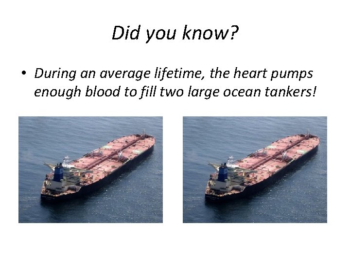 Did you know? • During an average lifetime, the heart pumps enough blood to Did you know? • During an average lifetime, the heart pumps enough blood to