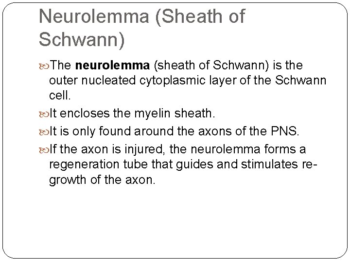 Neurolemma (Sheath of Schwann) The neurolemma (sheath of Schwann) is the outer nucleated cytoplasmic