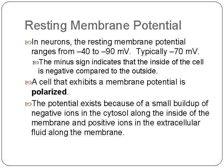 Resting Membrane Potential In neurons, the resting membrane potential ranges from – 40 to