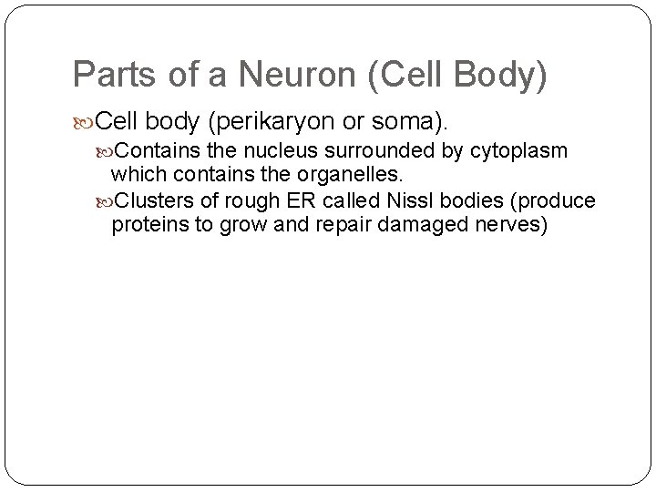 Parts of a Neuron (Cell Body) Cell body (perikaryon or soma). Contains the nucleus