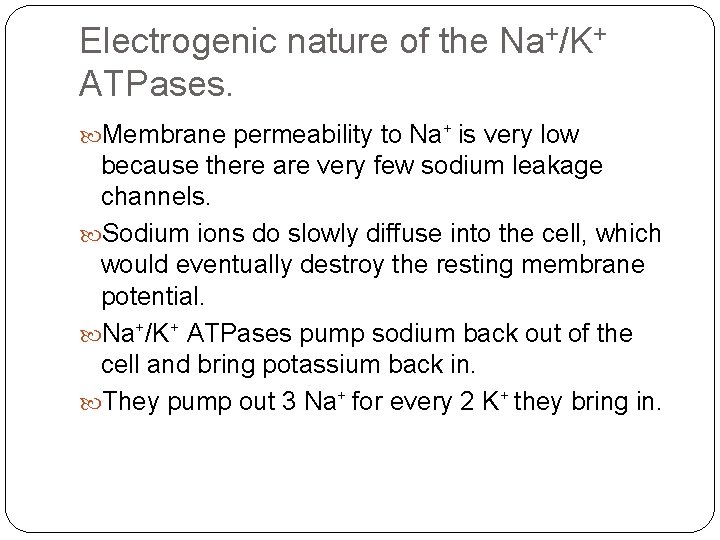 Electrogenic nature of the Na+/K+ ATPases. Membrane permeability to Na+ is very low because