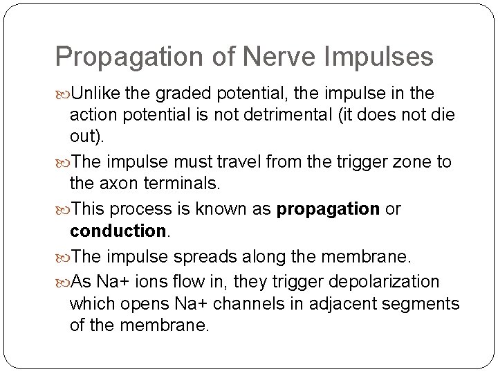 Propagation of Nerve Impulses Unlike the graded potential, the impulse in the action potential