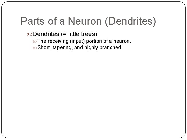 Parts of a Neuron (Dendrites) Dendrites (= little trees). The receiving (input) portion of