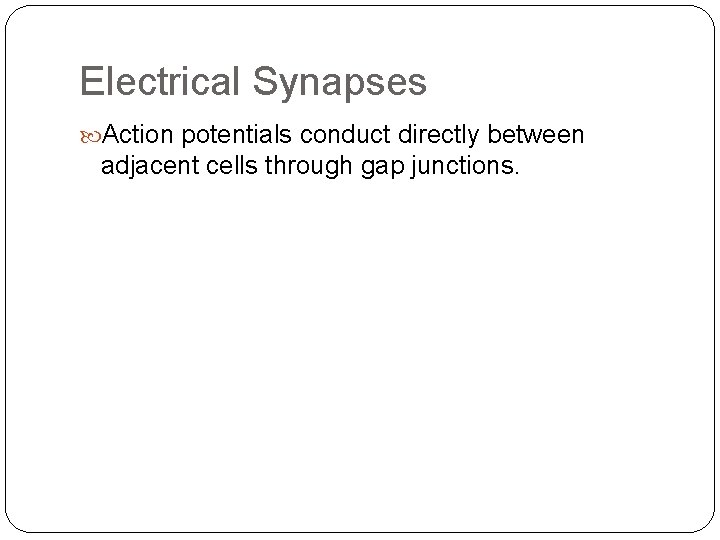 Electrical Synapses Action potentials conduct directly between adjacent cells through gap junctions. 