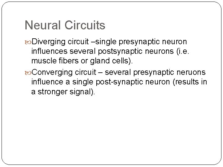 Neural Circuits Diverging circuit –single presynaptic neuron influences several postsynaptic neurons (i. e. muscle