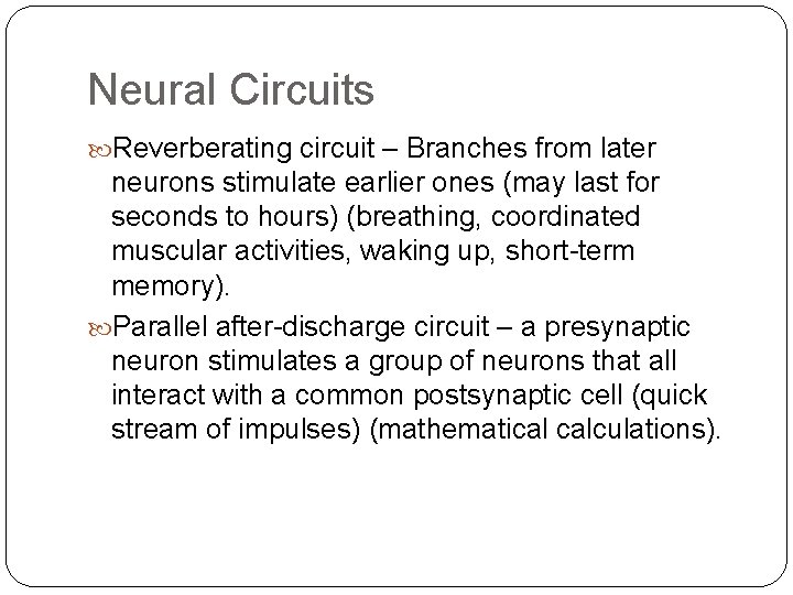 Neural Circuits Reverberating circuit – Branches from later neurons stimulate earlier ones (may last