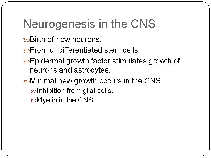 Neurogenesis in the CNS Birth of new neurons. From undifferentiated stem cells. Epidermal growth