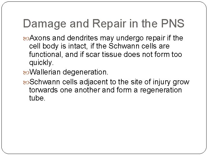 Damage and Repair in the PNS Axons and dendrites may undergo repair if the