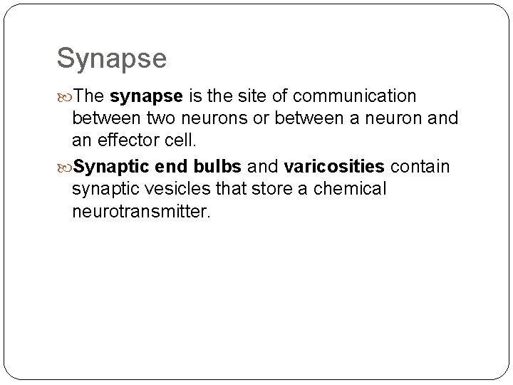 Synapse The synapse is the site of communication between two neurons or between a