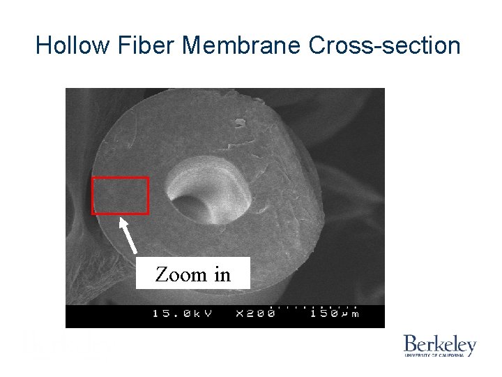 Hollow Fiber Membrane Cross-section Zoom in Hollow Fiber Membrane Cross-section Zoom in