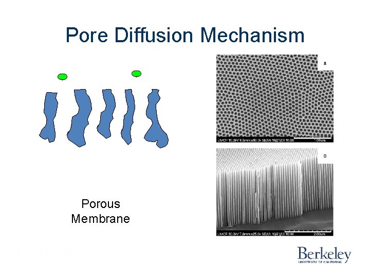 Pore Diffusion Mechanism Porous Membrane Pore Diffusion Mechanism Porous Membrane