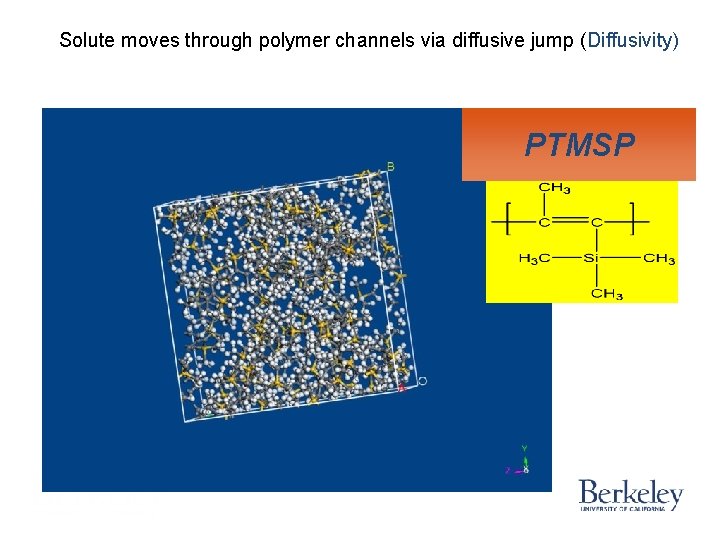 Solute moves through polymer channels via diffusive jump (Diffusivity) PTMSP Solute moves through polymer channels via diffusive jump (Diffusivity) PTMSP
