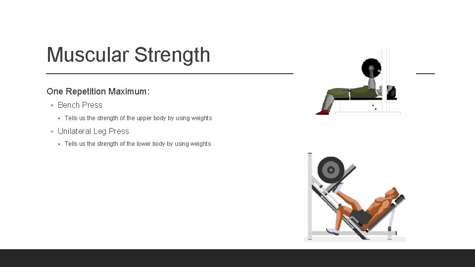 Muscular Strength One Repetition Maximum: ◦ Bench Press ◦ Tells us the strength of