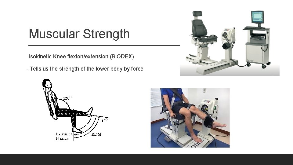 Muscular Strength Isokinetic Knee flexion/extension (BIODEX) - Tells us the strength of the lower