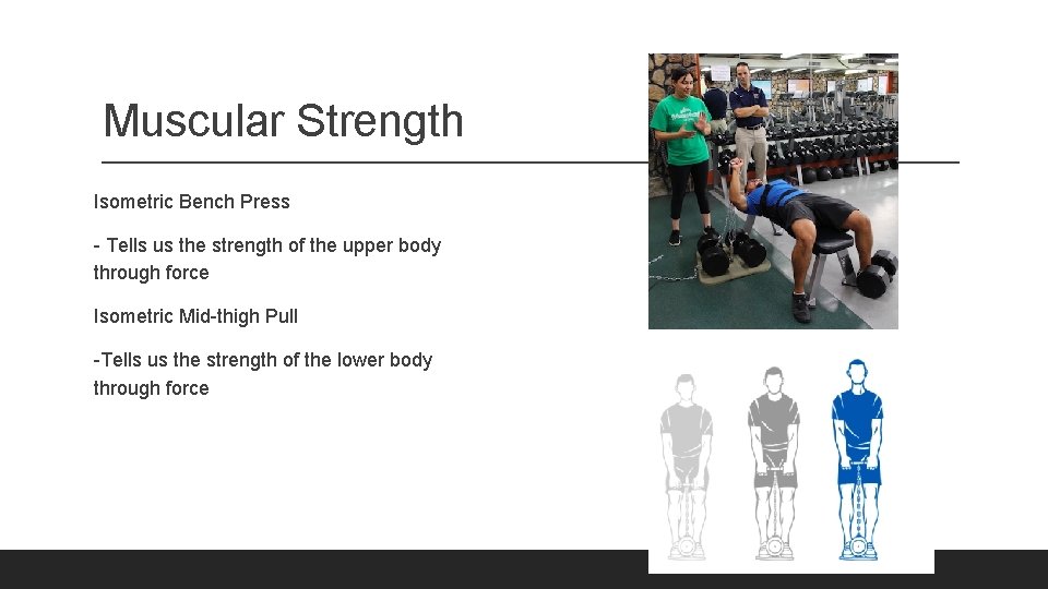 Muscular Strength Isometric Bench Press - Tells us the strength of the upper body