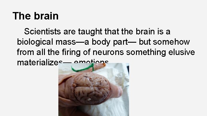 The brain Scientists are taught that the brain is a biological mass—a body part—