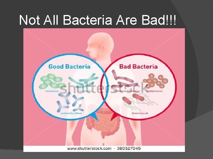 Not All Bacteria Are Bad!!! 