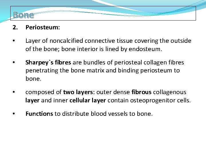 Bone 2. Periosteum: • Layer of noncalcified connective tissue covering the outside of the