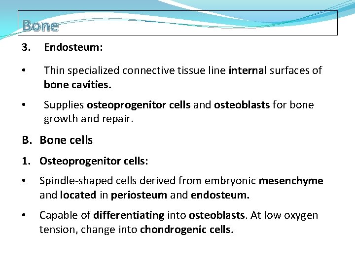 Bone 3. Endosteum: • Thin specialized connective tissue line internal surfaces of bone cavities.