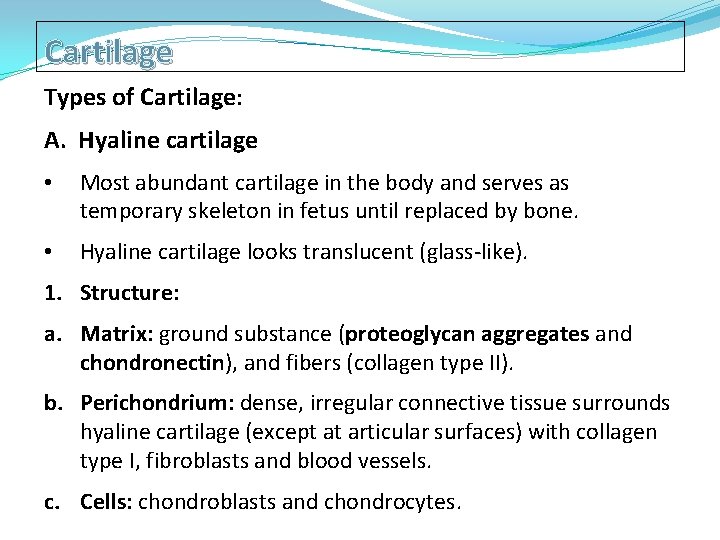 Cartilage Types of Cartilage: A. Hyaline cartilage • Most abundant cartilage in the body