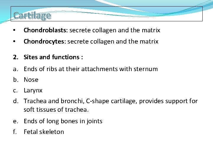 Cartilage • Chondroblasts: secrete collagen and the matrix • Chondrocytes: secrete collagen and the