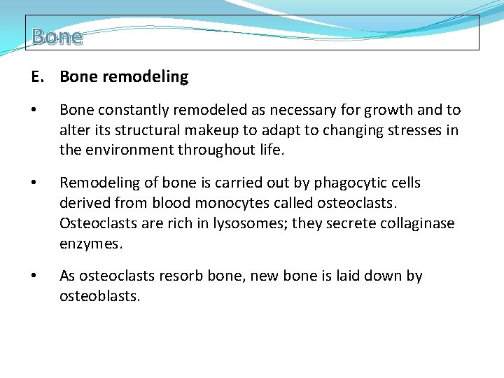 Bone E. Bone remodeling • Bone constantly remodeled as necessary for growth and to