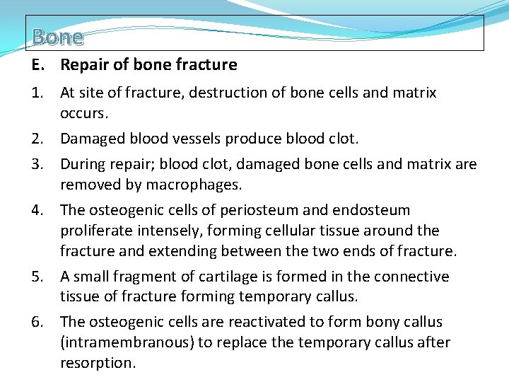 Bone E. Repair of bone fracture 1. At site of fracture, destruction of bone