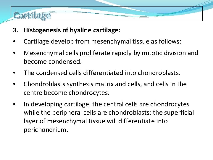 Cartilage 3. Histogenesis of hyaline cartilage: • Cartilage develop from mesenchymal tissue as follows: