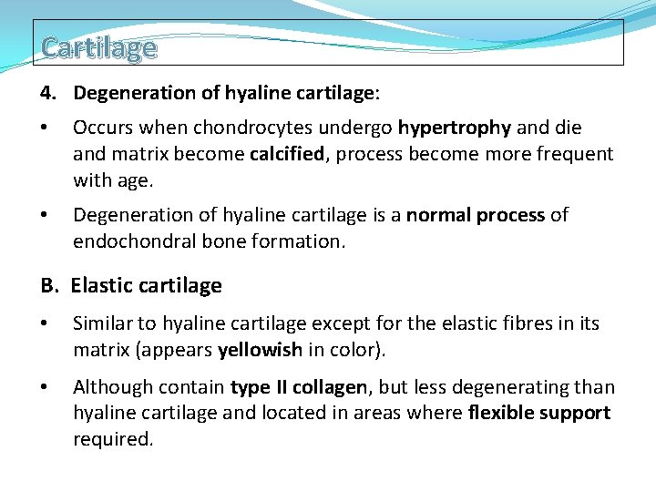 Cartilage 4. Degeneration of hyaline cartilage: • Occurs when chondrocytes undergo hypertrophy and die