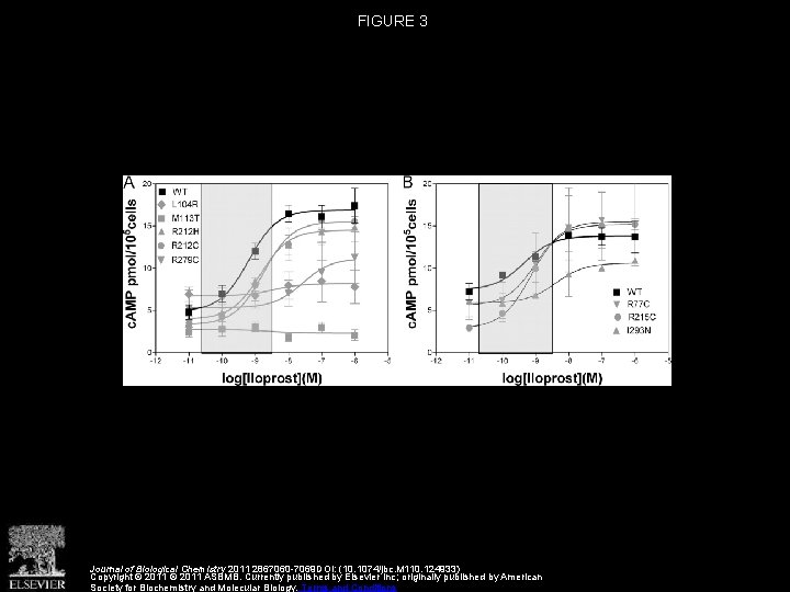 FIGURE 3 Journal of Biological Chemistry 2011 2867060 -7069 DOI: (10. 1074/jbc. M 110.