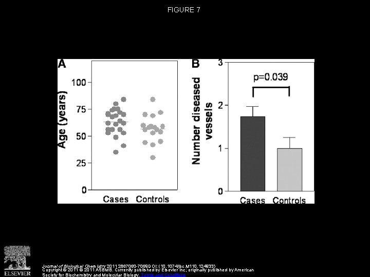 FIGURE 7 Journal of Biological Chemistry 2011 2867060 -7069 DOI: (10. 1074/jbc. M 110.