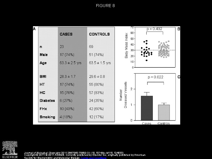 FIGURE 8 Journal of Biological Chemistry 2011 2867060 -7069 DOI: (10. 1074/jbc. M 110.