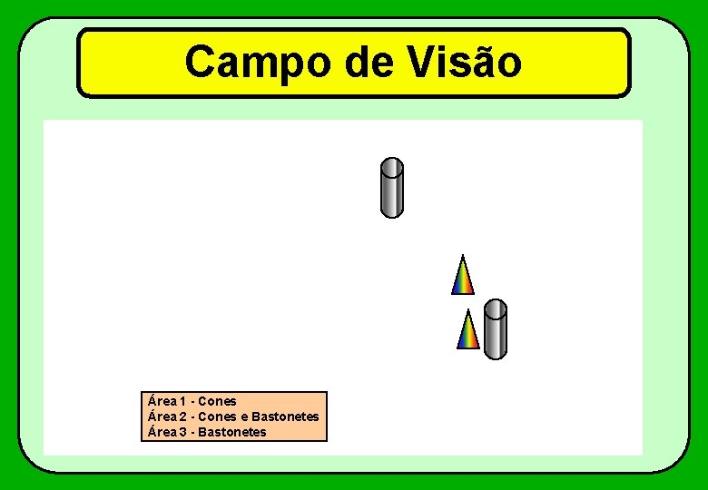 Campo de Visão Área 1 - Cones Área 2 - Cones e Bastonetes Área