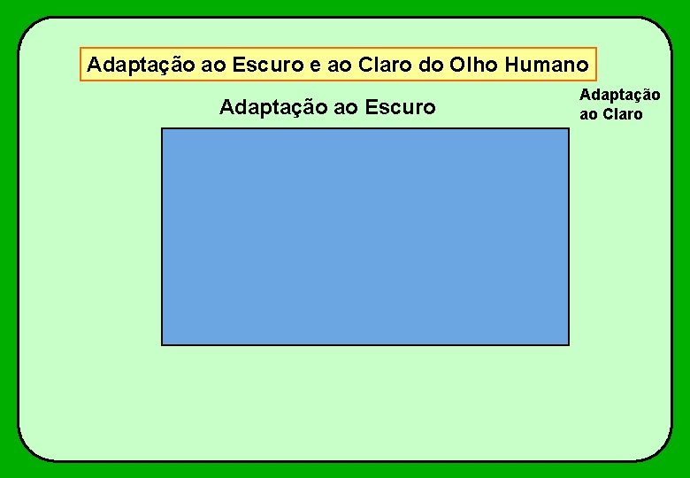 Adaptação ao Escuro e ao Claro do Olho Humano Adaptação ao Escuro Adaptação ao