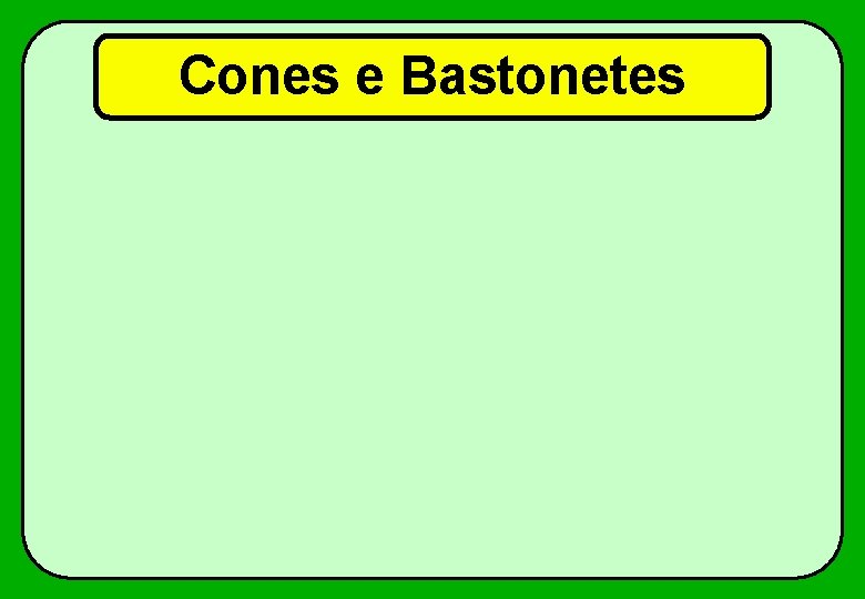 Cones e Bastonetes 