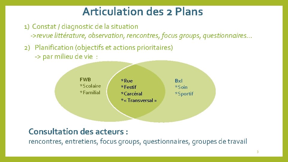 Articulation des 2 Plans 1) Constat / diagnostic de la situation ->revue littérature, observation,