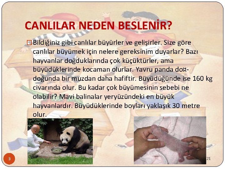 CANLILAR NEDEN BESLENİR? � Bildiğiniz gibi canlılar büyürler ve gelişirler. Size göre canlılar büyümek