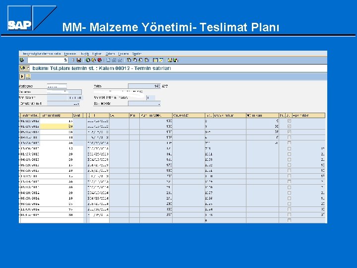 MM- Malzeme Yönetimi- Teslimat Planı 