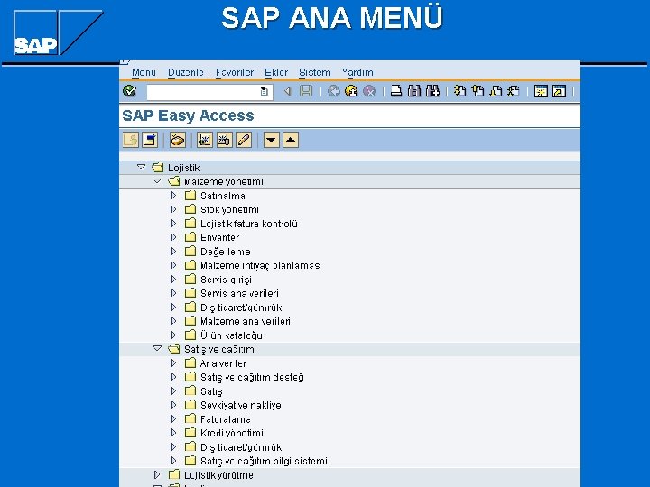 SAP ANA MENÜ SAP ANA MENÜ