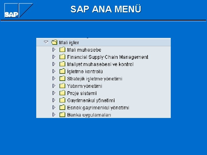 SAP ANA MENÜ SAP ANA MENÜ