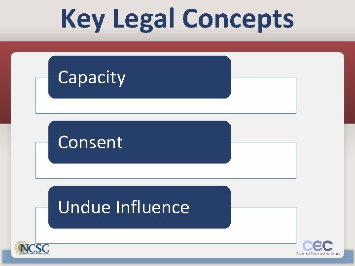 Key Legal Concepts Capacity Consent Undue Influence 