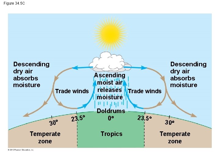 Figure 34. 5 C Descending dry air absorbs moisture Ascending moist air releases Trade