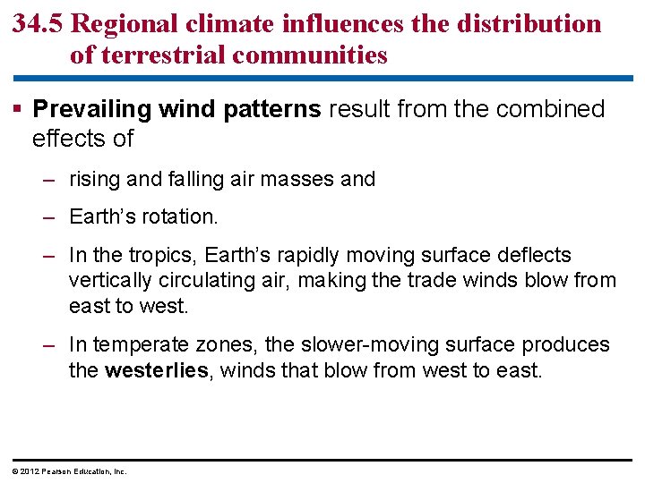 34. 5 Regional climate influences the distribution of terrestrial communities § Prevailing wind patterns