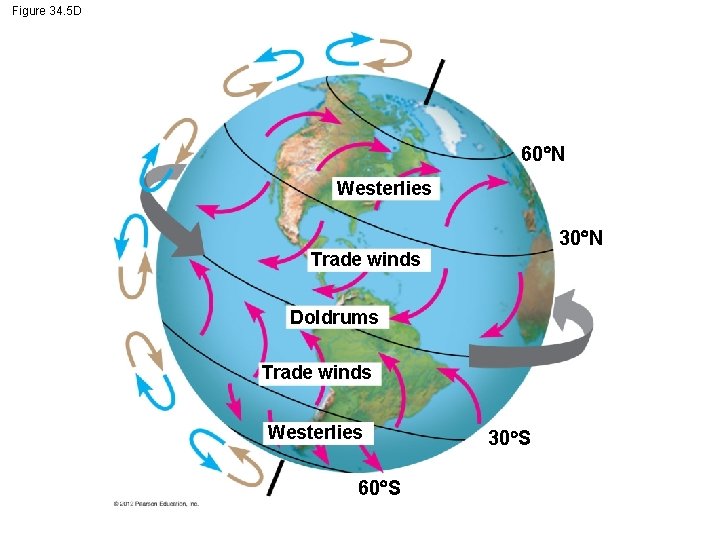 Figure 34. 5 D 60 N Westerlies 30 N Trade winds Doldrums Trade winds