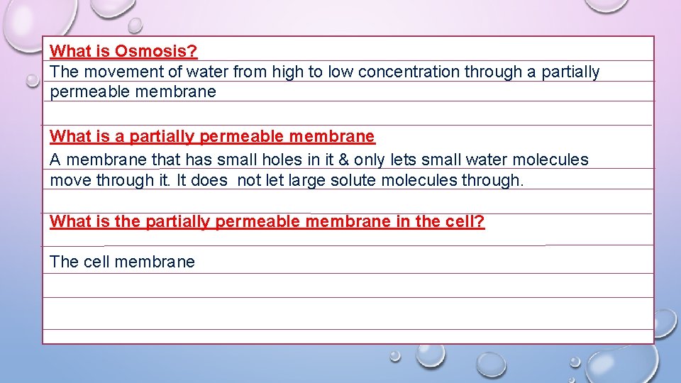What is Osmosis? The movement of water from high to low concentration through a