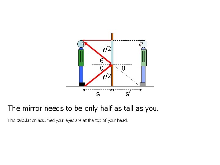 y/2 s s’ The mirror needs to be only half as tall as you.