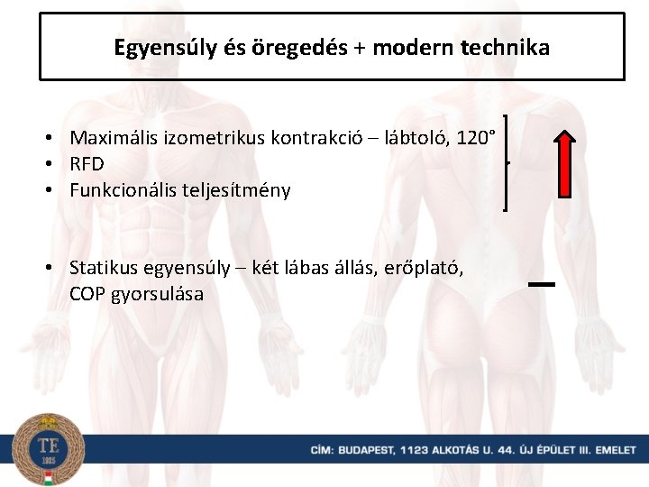 Egyensúly és öregedés + modern technika • Maximális izometrikus kontrakció – lábtoló, 120° •