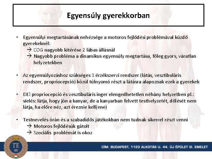 Egyensúly gyerekkorban • Egyensúlyi megtartásának nehézsége a motoros fejlődési problémával küzdő gyerekeknél: COG nagyobb