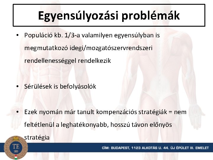 Egyensúlyozási problémák • Populáció kb. 1/3 -a valamilyen egyensúlyban is megmutatkozó idegi/mozgatószervrendszeri rendellenességgel rendelkezik