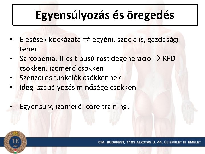 Egyensúlyozás és öregedés • Elesések kockázata egyéni, szociális, gazdasági teher • Sarcopenia: II-es típusú